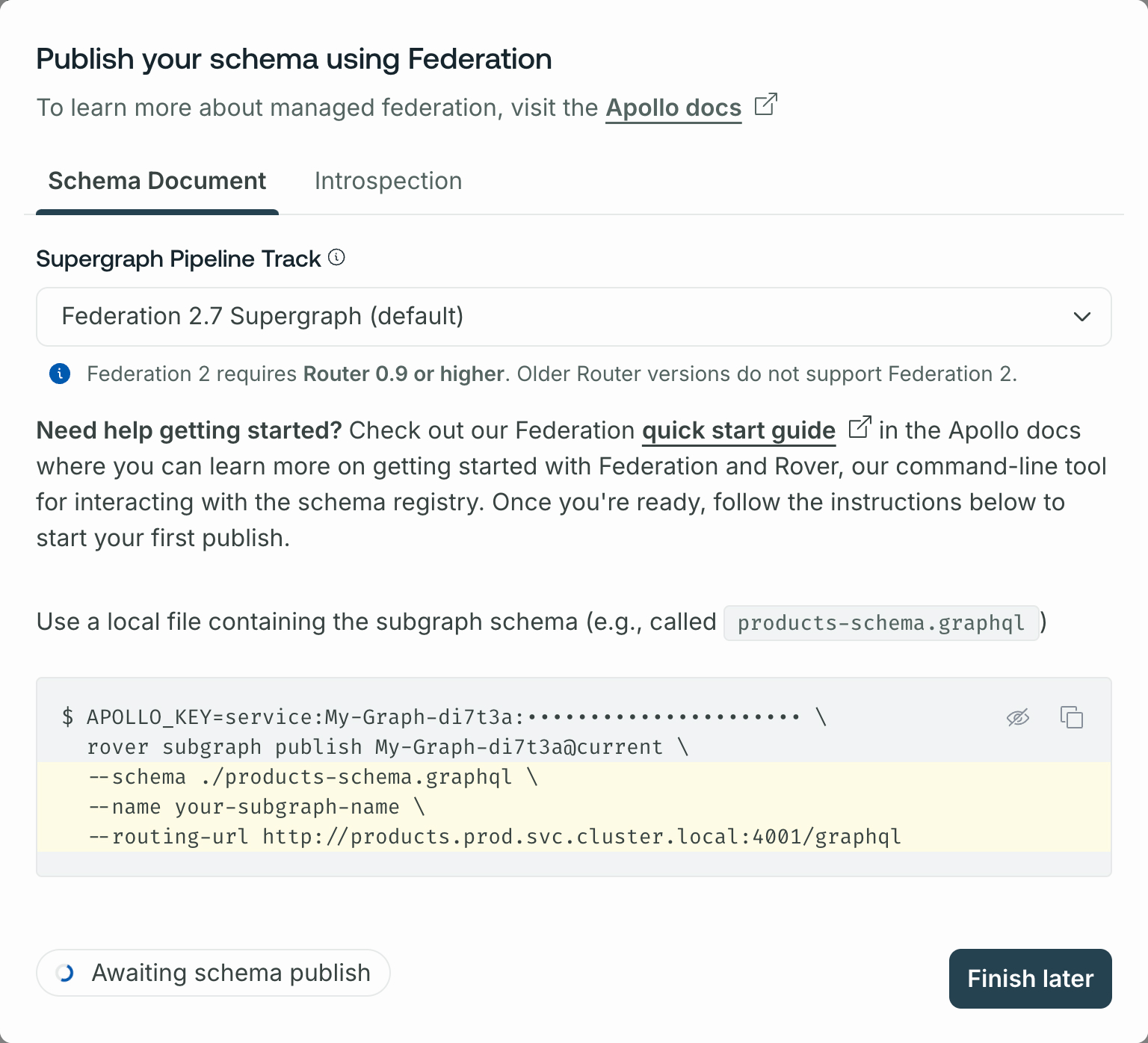 Schema registration options